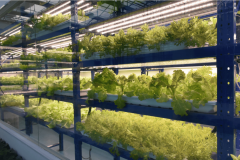聚焦农政办理、种植生业科研等范畴